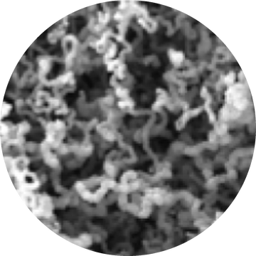 SEM image of tangled carbon nanofibers