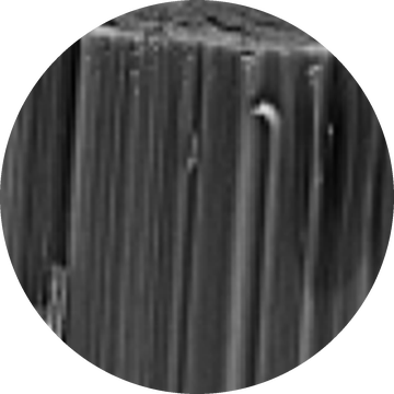 SEM cross-section of vertically aligned carbon nanotubes